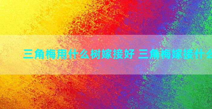 三角梅用什么树嫁接好 三角梅嫁接什么品种好